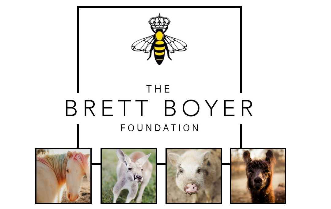 brett-boyer Brett Boyer